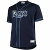 Budget ✨ Nike Tampa Bay Rays Alt. Jersey 🎉 -mlb-jerseys Sales tampa bay rays alt jersey